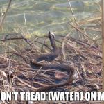 camping | DON'T TREAD (WATER) ON ME | image tagged in camping | made w/ Imgflip meme maker