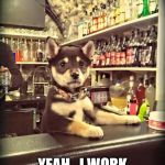 Bartender Puppy | OH! HI MOM... YEAH...I WORK HERE NOW... | image tagged in bartender puppy | made w/ Imgflip meme maker