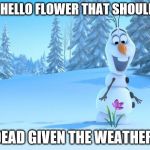 frozen by disney | OH! HELLO FLOWER THAT SHOULD BE; DEAD GIVEN THE WEATHER! | image tagged in frozen by disney | made w/ Imgflip meme maker