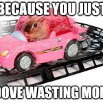 hamster car | BECAUSE YOU JUST; LOOOVE WASTING MONEY | image tagged in hamster car | made w/ Imgflip meme maker