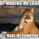punny puma | STOP MAKING ME LAUGH! YOU'LL MAKE ME PUMA PANTS! | image tagged in punny puma | made w/ Imgflip meme maker