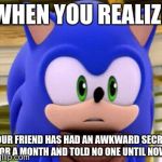 surprised sonic | WHEN YOU REALIZE; YOUR FRIEND HAS HAD AN AWKWARD SECRET FOR A MONTH AND TOLD NO ONE UNTIL NOW. | image tagged in surprised sonic,when you realize | made w/ Imgflip meme maker