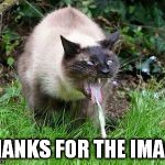Cat Barfing | THANKS FOR THE IMAGE | image tagged in cat barfing | made w/ Imgflip meme maker