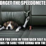 funny dog back seat | FORGET THE SPEEDOMETER; WHEN YOU LOOK IN YOUR BACK SEAT AND SEE THIS I'M SURE YOUR GUNNA WIN THE RACE | image tagged in funny dog back seat | made w/ Imgflip meme maker