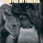 Lions  | I DON'T SEEK FOR MY RIGHT NOW, I SEEK FOR MY FOREVER. (SE7EN) | image tagged in seven | made w/ Imgflip meme maker