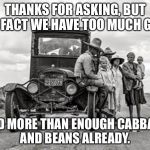 DEPRESSION TRAVELERS | THANKS FOR ASKING, BUT IN FACT WE HAVE TOO MUCH GAS; AND MORE THAN ENOUGH CABBAGE AND BEANS ALREADY. | image tagged in depression travelers | made w/ Imgflip meme maker