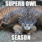 Superb OWl | SUPERB OWL; SEASON | image tagged in superb owl | made w/ Imgflip meme maker