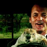 Bill Murray - Don't Drive Angry