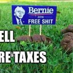 Not Feelin' the Bern... | I; SMELL; MORE TAXES | image tagged in not feelin the bern | made w/ Imgflip meme maker