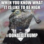 Lizard Squad | WHEN YOU KNOW WHAT IT IS LIKE TO BE HIGH. #DONALD TRUMP | image tagged in lizard squad | made w/ Imgflip meme maker