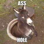 Asshole | ASS HOLE | image tagged in asshole | made w/ Imgflip meme maker