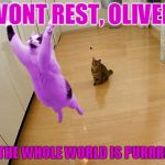 RayCat save the world | I WONT REST, OLIVER... UNTIL THE WHOLE WORLD IS PURRRRFECT! | image tagged in raycat save the world,memes | made w/ Imgflip meme maker