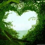 nature heart