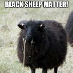 Black sheep | BLACK SHEEP MATTER! | image tagged in black sheep | made w/ Imgflip meme maker