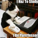 Cat Motivation | I Haz To Study; I Be Purrrfessor | image tagged in cat motivation | made w/ Imgflip meme maker