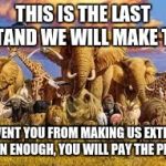 animals | THIS IS THE LAST STAND WE WILL MAKE TO; PREVENT YOU FROM MAKING US EXTINCT! SOON ENOUGH, YOU WILL PAY THE PRICE. | image tagged in animals | made w/ Imgflip meme maker