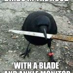 hood bird | BIRDS IN THE HOOD; WITH A BLADE AND ANKLE MONITOR | image tagged in hood bird | made w/ Imgflip meme maker