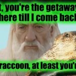 As they get closer to "The Bank Job", Gandalf second guesses if he's picked the right rodent for the task..... | All right, you're the getaway driver, wait here till I come back out! I wish you were a raccoon, at least you'd have a mask on! | image tagged in gandalf groundhog,memes,funny memes | made w/ Imgflip meme maker