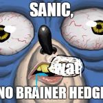 Sanic | SANIC, wat; IS A NO BRAINER HEDGEHOG | image tagged in sanic | made w/ Imgflip meme maker