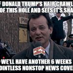 The Donald's Real Hair Makes News Predictions | IF DONALD TRUMP'S HAIR CRAWLS OUT OF THIS HOLE AND SEES IT'S SHADOW; WE'LL HAVE ANOTHER 6 WEEKS OF POINTLESS NONSTOP NEWS COVERAGE | image tagged in it's groundhog day again,donald trumph hair,breaking news,funny,politics,political | made w/ Imgflip meme maker