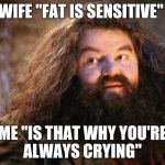 Hagrid | WIFE "FAT IS SENSITIVE"; ME "IS THAT WHY YOU'RE ALWAYS CRYING" | image tagged in hagrid | made w/ Imgflip meme maker