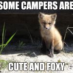 camping | SOME CAMPERS ARE; CUTE AND FOXY | image tagged in camping | made w/ Imgflip meme maker