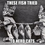 Ancient Feline Fun | THESE FISH TRIED; TO HERD CATS | image tagged in ancient feline fun | made w/ Imgflip meme maker