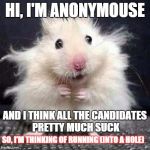 I express my views anonymousely | HI, I'M ANONYMOUSE; AND I THINK ALL THE CANDIDATES PRETTY MUCH SUCK; SO, I'M THINKING OF RUNNING (INTO A HOLE) | image tagged in anonymouse,memes,funny memes,political | made w/ Imgflip meme maker
