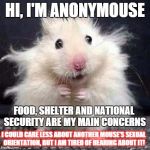 I express my views anonymousely | HI, I'M ANONYMOUSE; FOOD, SHELTER AND NATIONAL SECURITY ARE MY MAIN CONCERNS; I COULD CARE LESS ABOUT ANOTHER MOUSE'S SEXUAL ORIENTATION, BUT I AM TIRED OF HEARING ABOUT IT! | image tagged in anonymouse,memes,funny memes,gay pride,political issues | made w/ Imgflip meme maker