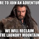 Thorin | CARE TO JOIN AN ADVENTURE? WE WILL RECLAIM THE LAUNDRY MOUNTAIN. | image tagged in thorin | made w/ Imgflip meme maker