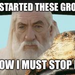Groundhog, take me to the nearest meme! | IT SEEMS I HAVE STARTED THESE GROUNDHOG MEMES; NOW I MUST STOP IT | image tagged in gandalf groundhog | made w/ Imgflip meme maker