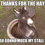 Asshole | THANKS FOR THE HAY; ARE YOU GONNA MUCK MY STALL NOW? | image tagged in asshole,what a jerk,funny,farm animals,you work for me now,meme | made w/ Imgflip meme maker