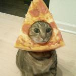 Pizza Cat