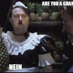 Hitler Pineapple | ARE YOU A GRAMMAR NAZI; NEIN | image tagged in hitler pineapple | made w/ Imgflip meme maker