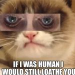 DISAPPROVING GRUMPY CAT | IF I WAS HUMAN I  WOULD STILL LOATHE YOU. | image tagged in disapproving grumpy cat | made w/ Imgflip meme maker