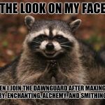 Plotting Raccoon | THE LOOK ON MY FACE; WHEN I JOIN THE DAWNGUARD AFTER MAXING MY ARCHERY, ENCHANTING, ALCHEMY, AND SMITHING SKILLS | image tagged in plotting raccoon | made w/ Imgflip meme maker