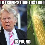 Donald Trump | DONALD TRUMP'S LONG LOST BROTHER; IS FOUND | image tagged in donald trump | made w/ Imgflip meme maker