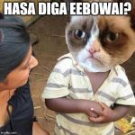 Third World Grumpy Cat | HASA DIGA EEBOWAI? | image tagged in third world grumpy cat | made w/ Imgflip meme maker