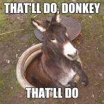 Asshole | THAT'LL DO, DONKEY THAT'LL DO | image tagged in asshole,funny,shrek,donkey,funny quotes,farm animals | made w/ Imgflip meme maker
