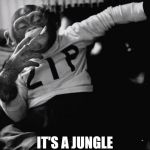 chimpy | NO MONKEY BUSINESS; IT'S A JUNGLE OUT THERE | image tagged in chimpy | made w/ Imgflip meme maker