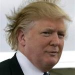 Trump's Hair meme