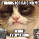 DISAPPROVING GRUMPY CAT | TO HATE EVERY THING THANKS FOR RAISING ME | image tagged in disapproving grumpy cat | made w/ Imgflip meme maker