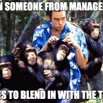 Ace Ventura | WHEN SOMEONE FROM MANAGEMENT; TRIES TO BLEND IN WITH THE TEAM | image tagged in ace ventura | made w/ Imgflip meme maker