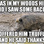 Then we spoke about seasons. | I WAS IN MY WOODS HIGH, AND I SAW SOME BACON. I OFFERED HIM TRUFFLE,  AND HE SAID THANKS. | image tagged in happy as a pig in mud,food,pig,bacon,hunting,memes | made w/ Imgflip meme maker