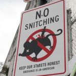 There's something to be said for a neighborhood with integrity I guess. | AND YOU THOUGHT YOUR; NEIGHBORHOOD WAS BAD | image tagged in no rats allowed,funny street signs,funny signs,memes,funny,signs | made w/ Imgflip meme maker