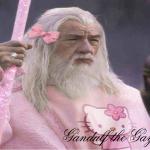 Gandalf the Fabulous  meme