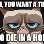 grumpy cat hopes you die | OH, YOU WANT A TIP? GO DIE IN A HOLE | image tagged in grumpy cat cartoon | made w/ Imgflip meme maker