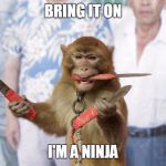 Ninja Monkey | BRING IT ON; I'M A NINJA | image tagged in monkey with knives,memes | made w/ Imgflip meme maker