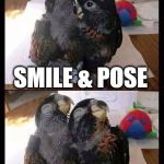 Birds Posing | C'MON BRAD; SMILE & POSE; WITH ME | image tagged in birds posing | made w/ Imgflip meme maker