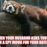 sleepy redpanda | WHEN YOUR HUSBAND ASKS YOU TO WATCH A SPY MOVIE FOR YOUR DATE NIGHT | image tagged in sleepy redpanda | made w/ Imgflip meme maker
